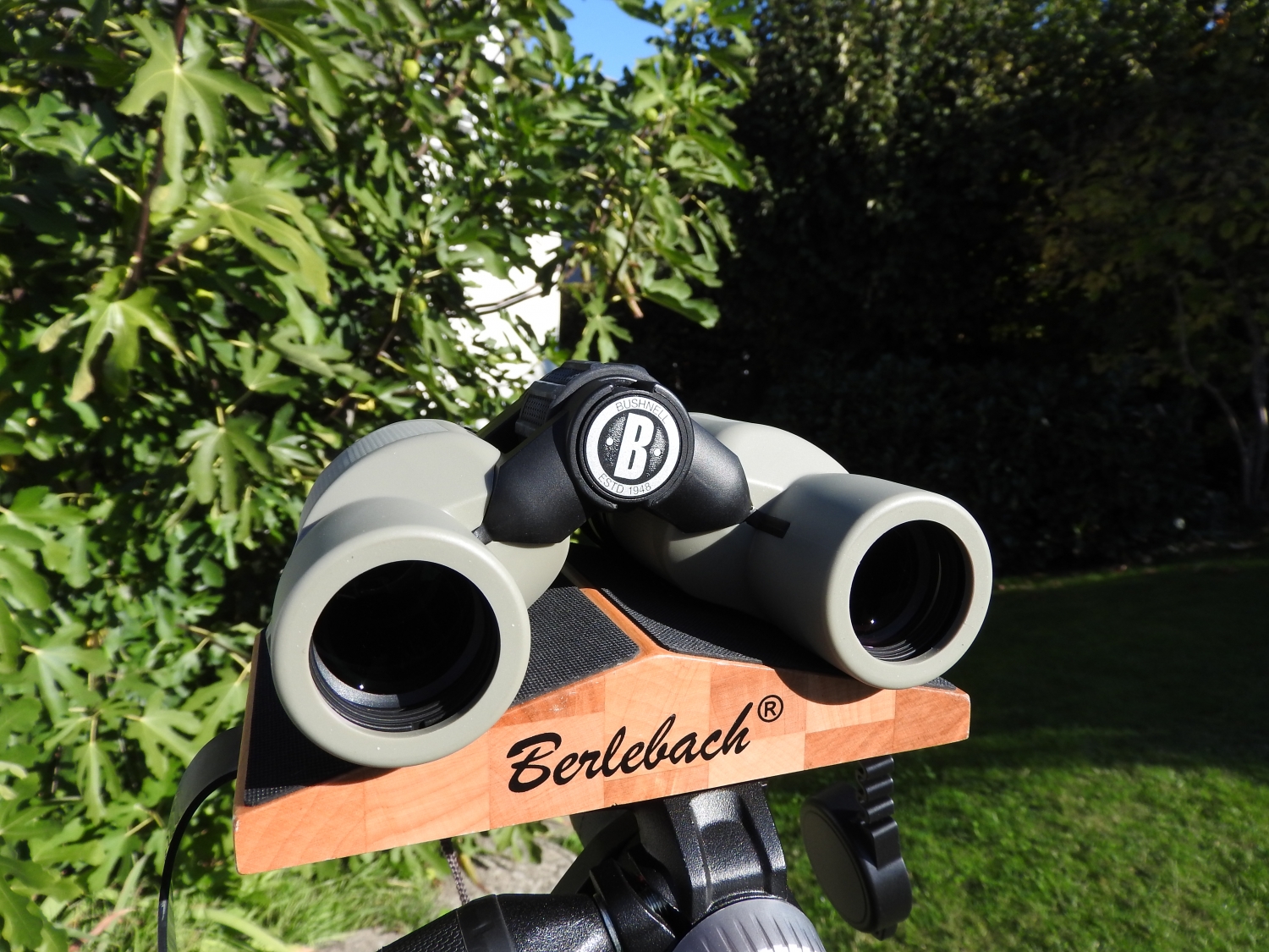 Bushnell Natureview 6×30 Binoculars Today