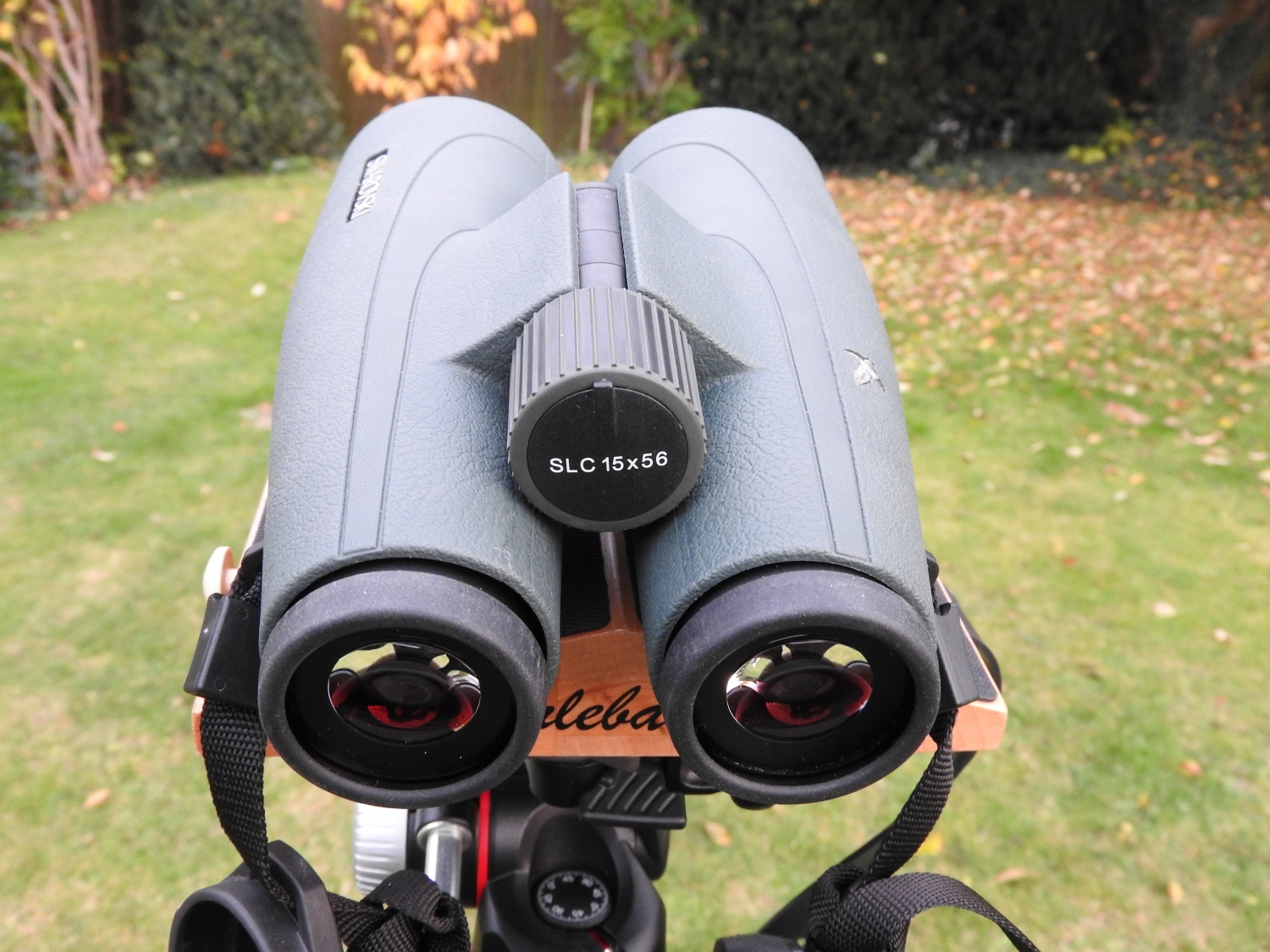 Swarovski SLC 15×56 W B Binoculars Today
