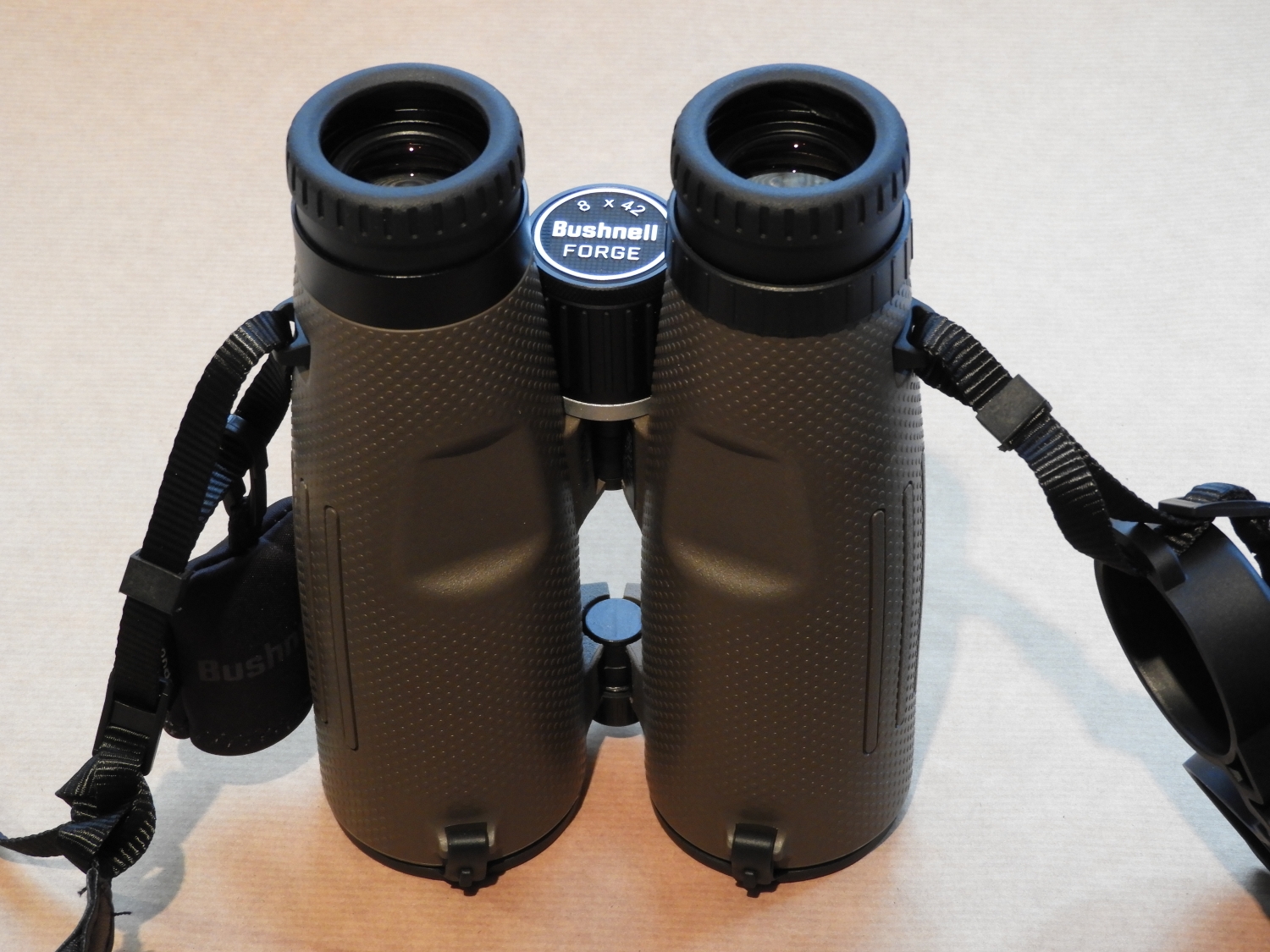 Bushnell Forge 8 42 Binoculars Today